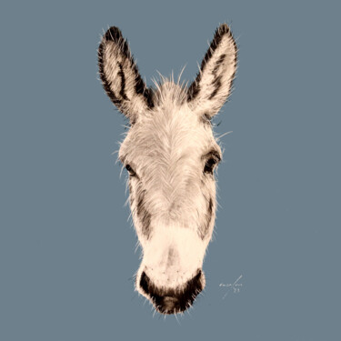 anim ¦ donkey